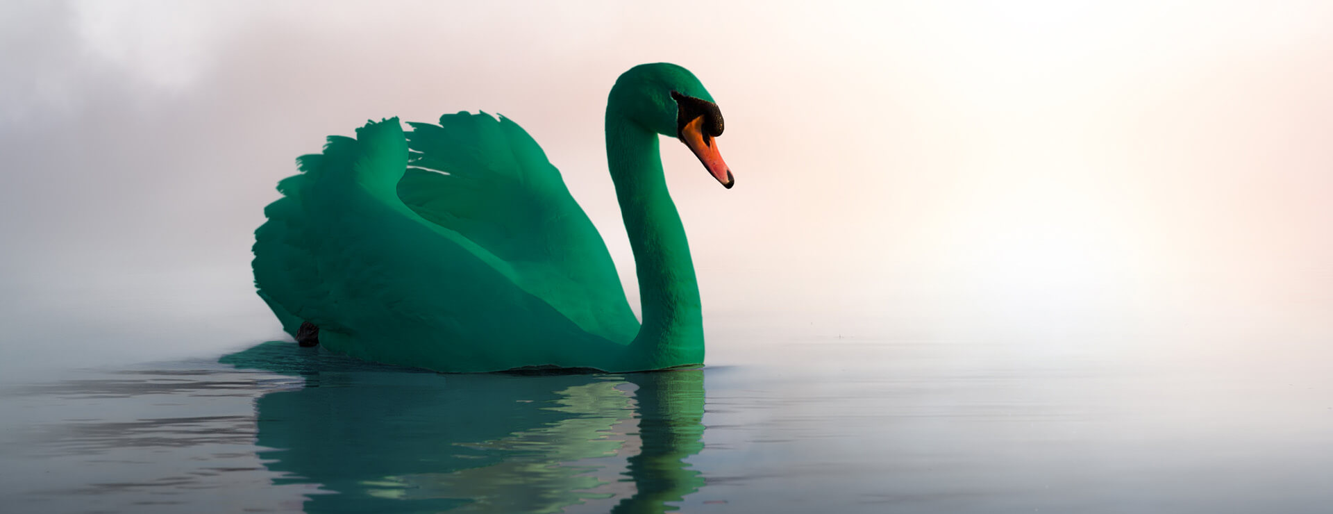 Will the next black swan be green?