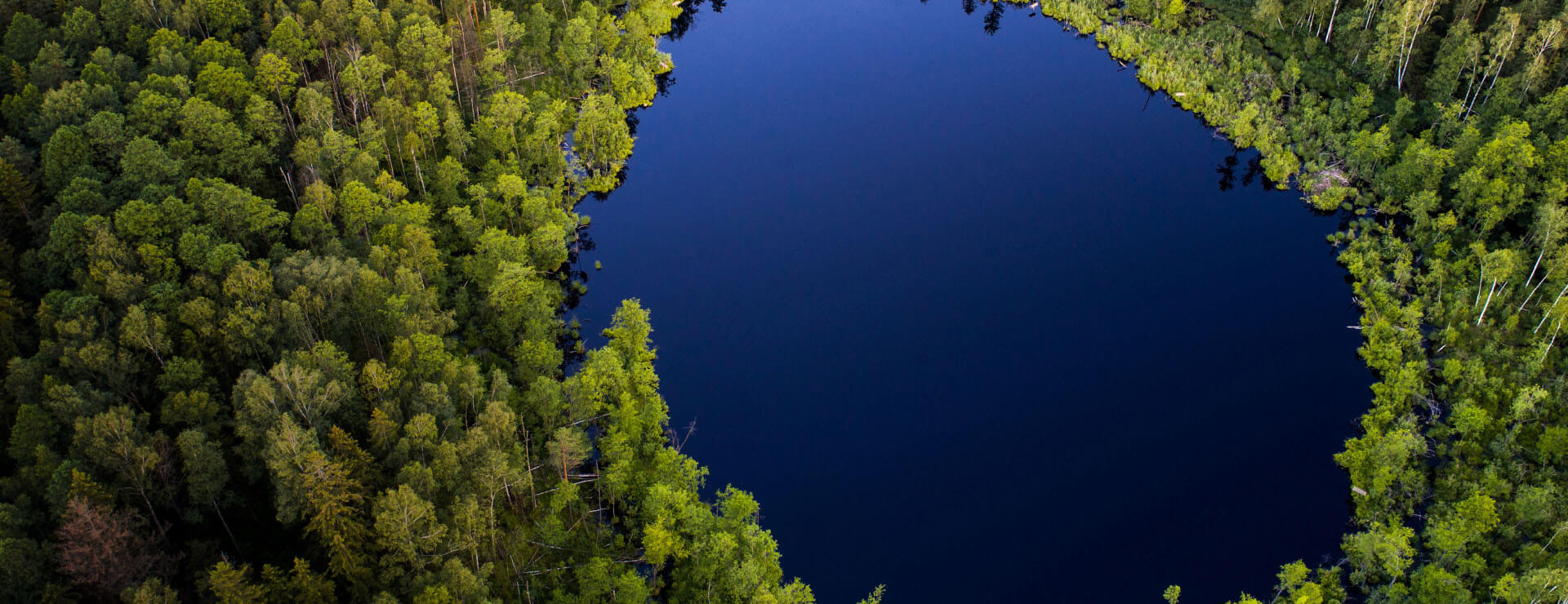 The great biodiversity challenge