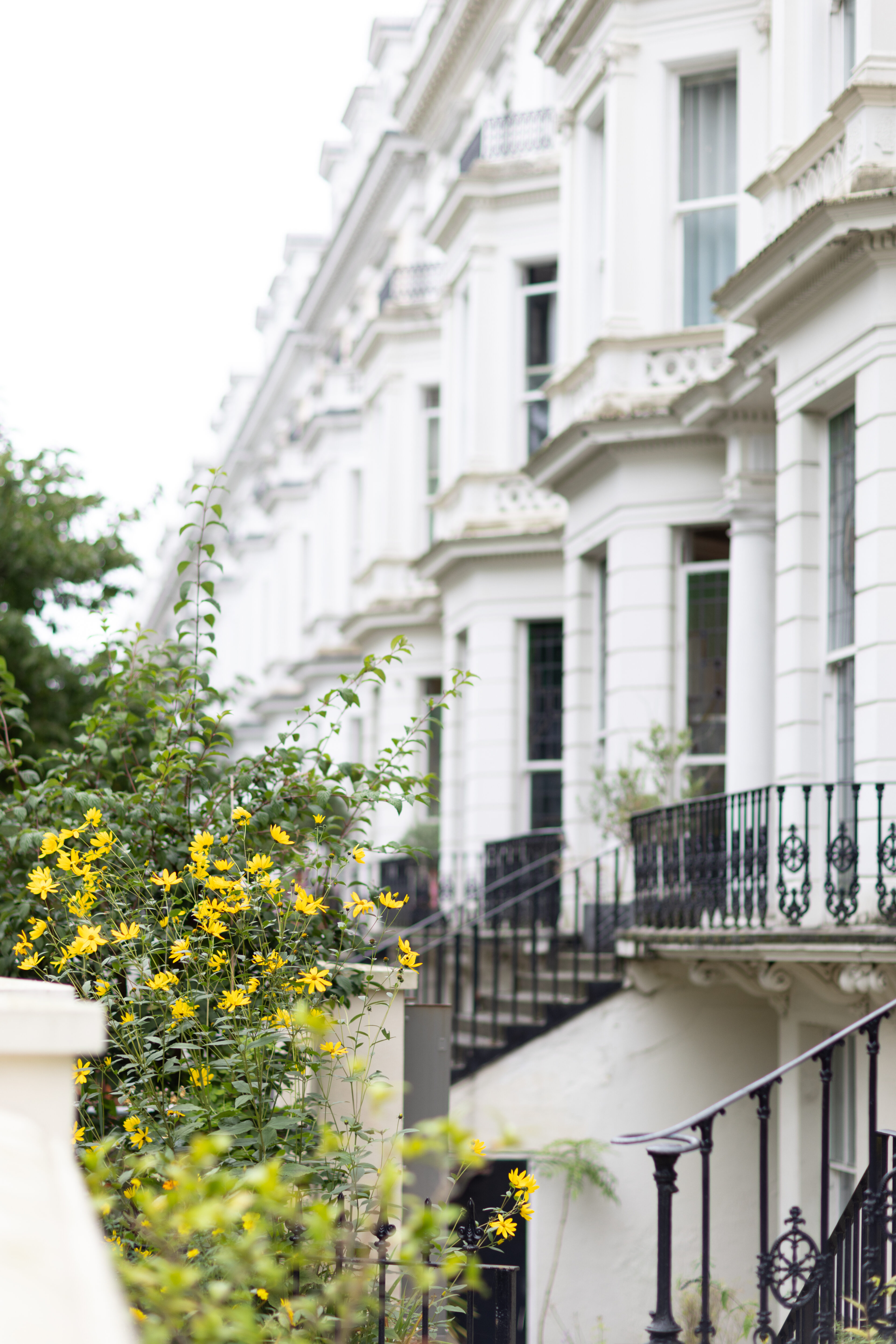 Reflections from  London Climate Action Week 2026: Building Resilience in a Changing World