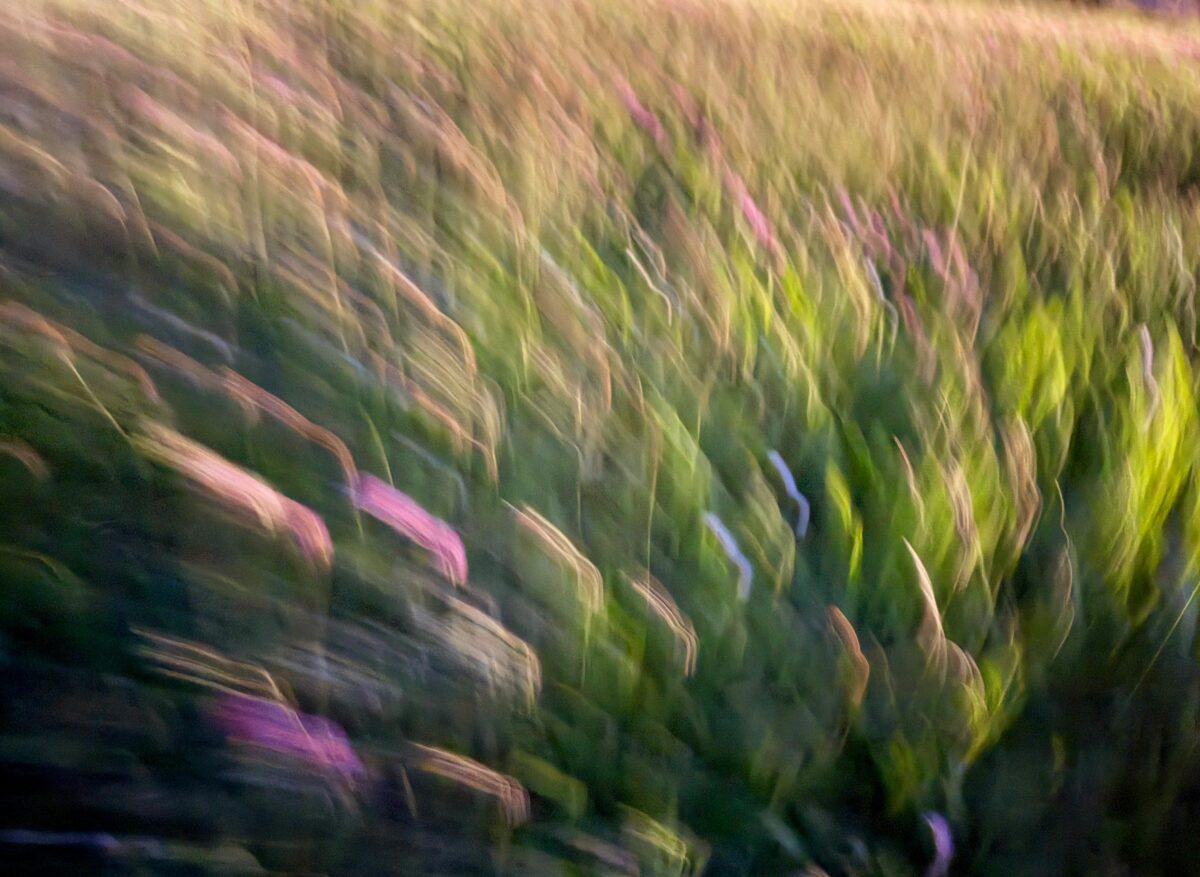 andreas-fickl-PfzviNmA8nI-unsplash