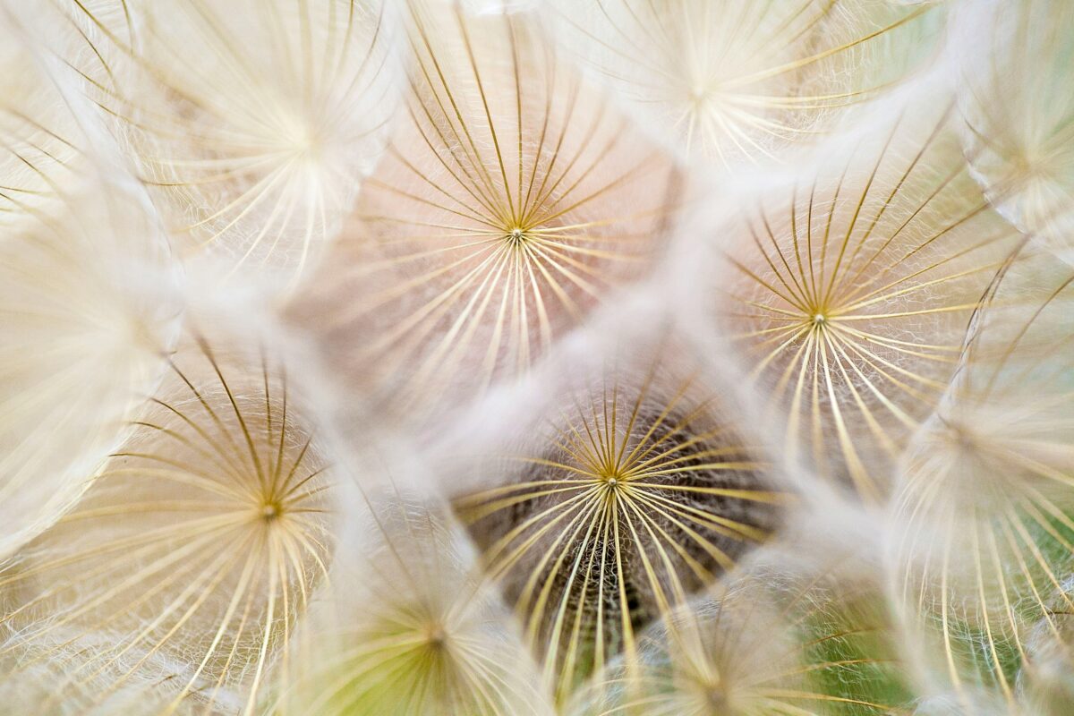 paul-talbot-pQDBGxtiDEo-unsplash